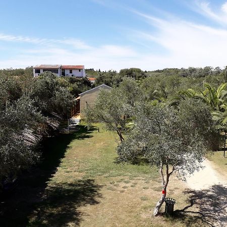 Irini Apartments And Studios Kavos Exterior photo