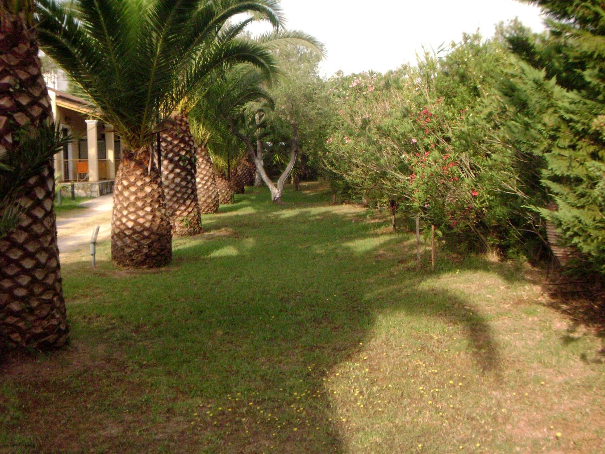 Irini Apartments And Studios Kavos Exterior photo